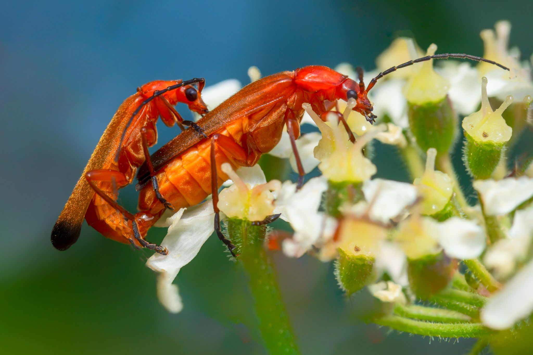 Accroche toi! 12X18 DSC 0067